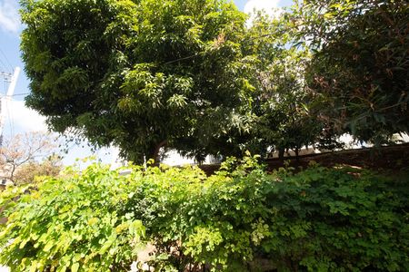 Apartamento à venda com 60m², 3 quartos e 1 vagaÁrea Comum