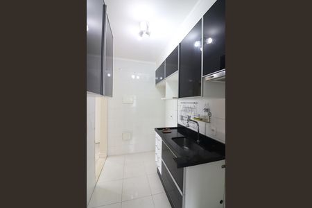 Apartamento para alugar com 48m², 2 quartos e 1 vagaCozinha 