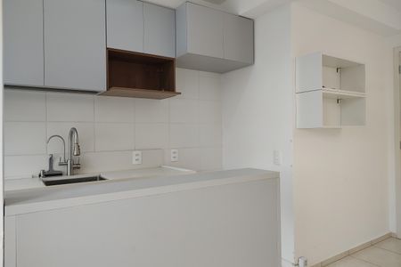 Apartamento para alugar com 44m², 2 quartos e 1 vagaCozinha - Armários