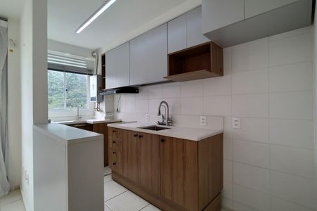 Apartamento para alugar com 44m², 2 quartos e 1 vagaCozinha - Armários