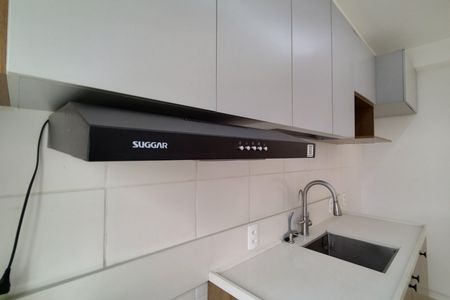 Apartamento para alugar com 44m², 2 quartos e 1 vagaCozinha - Armários