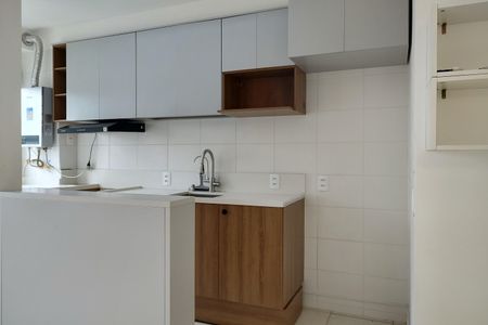 Apartamento para alugar com 44m², 2 quartos e 1 vagaCozinha - Armários