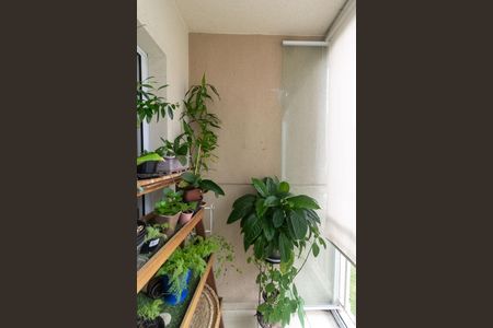 Varanda de apartamento à venda com 3 quartos, 68m² em Vila Inglesa, São Paulo