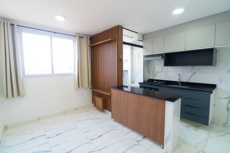 Sala de apartamento para alugar com 2 quartos, 39m² em Vila Santa Catarina, São Paulo