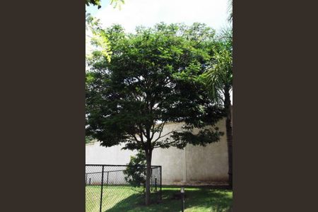 Casa à venda com 3 quartos, 283m² em Recanto, Valinhos