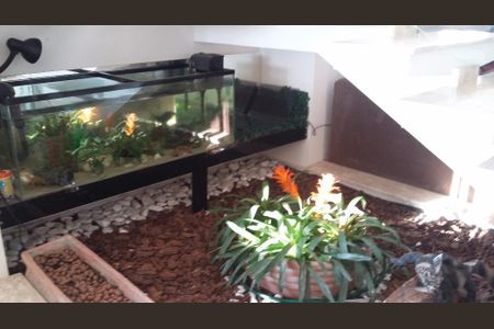Casa à venda com 278m², 3 quartos e 4 vagas