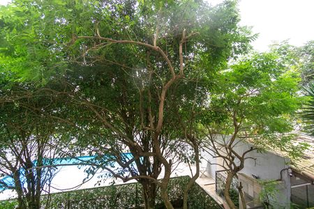 Apartamento à venda com 65m², 3 quartos e 1 vaga Apartamento à venda com 65m², 3 quartos e 1 vagaVista da varanda