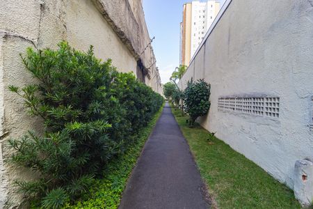 Apartamento à venda com 76m², 3 quartos e 1 vaga Apartamento à venda com 76m², 3 quartos e 1 vagaÁrea comum