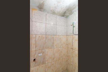 Banheiro de apartamento para alugar com 1 quarto, 45m² em Mooca, São Paulo