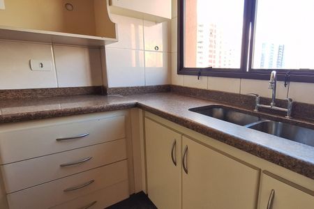 Apartamento para alugar com 161m², 3 quartos e 2 vagas Apartamento para alugar com 161m², 3 quartos e 2 vagasCozinha