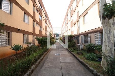 Apartamento para alugar com 67m², 2 quartos e 1 vaga Apartamento para alugar com 67m², 2 quartos e 1 vagaÁrea Externa