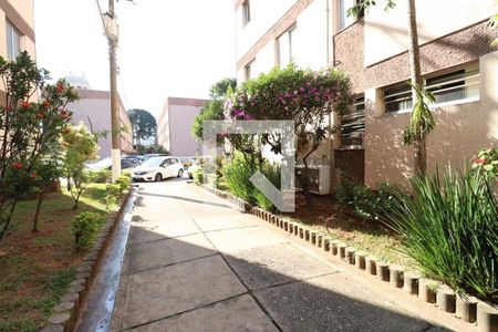 Apartamento para alugar com 67m², 2 quartos e 1 vaga Apartamento para alugar com 67m², 2 quartos e 1 vagaÁrea Externa