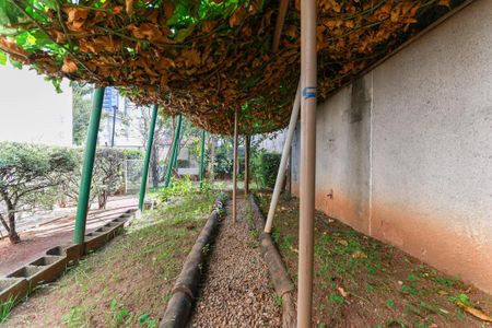 Apartamento à venda com 74m², 2 quartos e 2 vagasÁrea comum - Horta comunitária