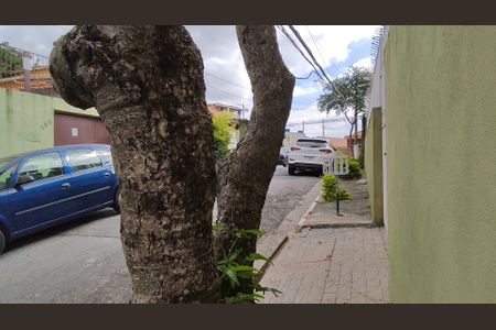 Casa para alugar com 300m², 4 quartos e 3 vagas