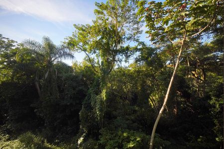 Vista do Quarto 1 de apartamento para alugar com 2 quartos, 56m² em Serraria, São José