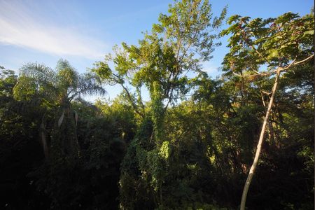 Vista do Quarto 2 de apartamento para alugar com 2 quartos, 56m² em Serraria, São José