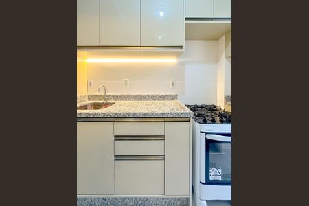 Apartamento para alugar com 55m², 2 quartos e sem vagaCozinha