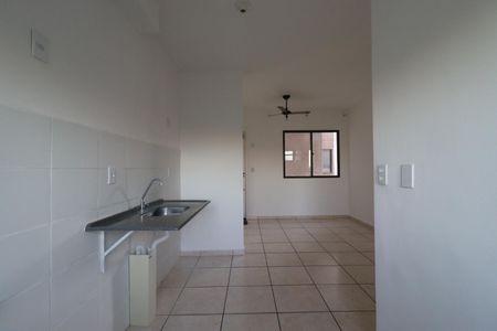 Cozinha de apartamento para alugar com 2 quartos, 45m² em Planalto Verde, Ribeirão Preto