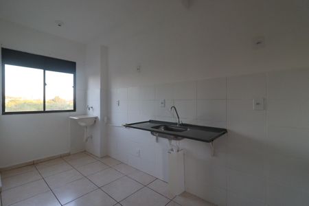 Cozinha de apartamento para alugar com 2 quartos, 45m² em Planalto Verde, Ribeirão Preto