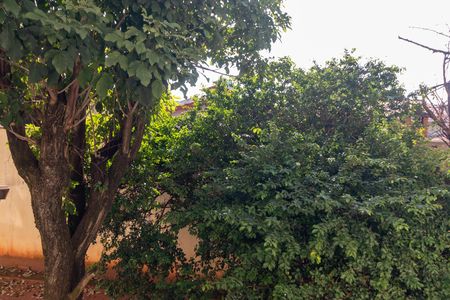 Apartamento para alugar com 62m², 2 quartos e 1 vagaVista do Quarto 02