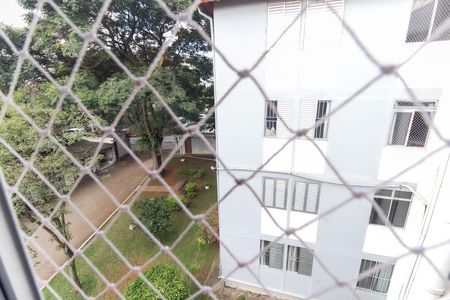 Apartamento para alugar com 50m², 2 quartos e 1 vagaVista do Quarto 1