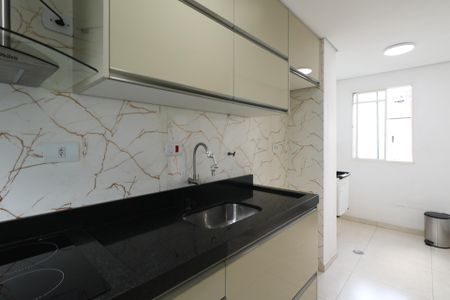 Apartamento para alugar com 43m², 2 quartos e sem vagaCozinha