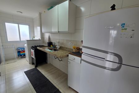 Cozinha de apartamento para alugar com 1 quarto, 44m² em Nova Mirim, Praia Grande