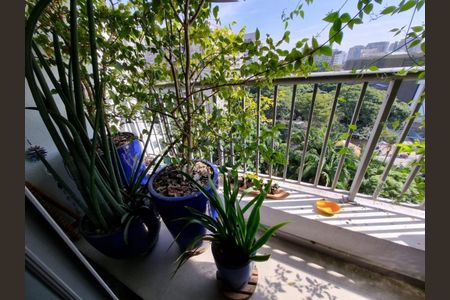 Apartamento à venda com 1 quarto, 69m² em Moema, São Paulo