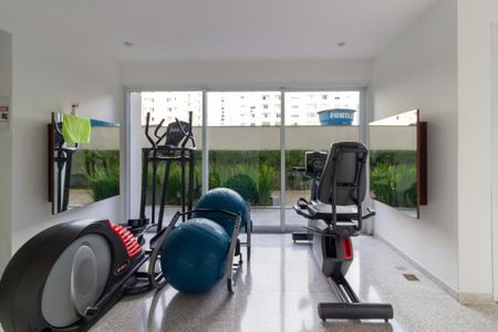Apartamento para alugar com 80m², 2 quartos e 2 vagas Apartamento para alugar com 80m², 2 quartos e 2 vagasÁrea comum - Academia