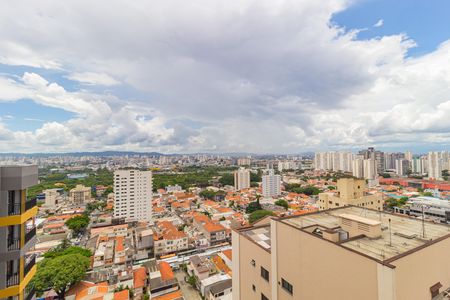 Apartamento para alugar com 38m², 2 quartos e sem vagaLounge - Vista