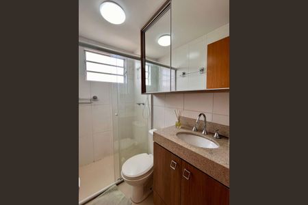 Banheiro de apartamento para alugar com 2 quartos, 48m² em Morro Santana, Porto Alegre