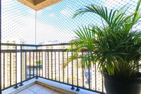 Varanda da Sala de apartamento à venda com 3 quartos, 67m² em Del Castilho, Rio de Janeiro
