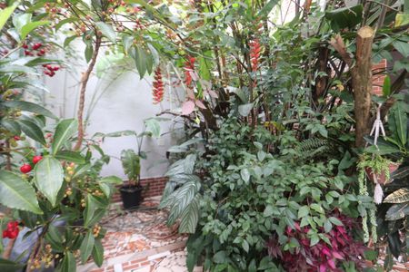 Casa à venda com 177m², 3 quartos e 2 vagasJardim