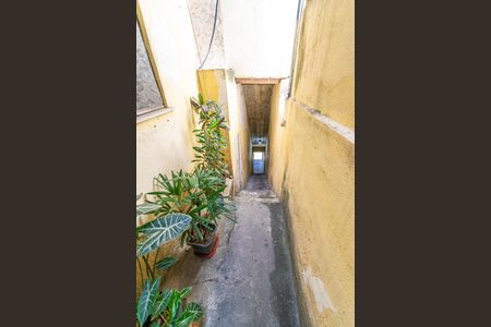 Casa para alugar com 75m², 4 quartos e sem vagaÁrea comum - Escadas