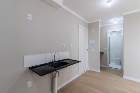 Apartamento para alugar com 34m², 2 quartos e sem vagaCozinha