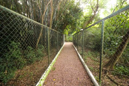 Apartamento para alugar com 46m², 2 quartos e 1 vaga Apartamento para alugar com 46m², 2 quartos e 1 vagaÁrea comum-área verde