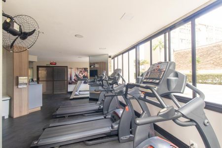 Apartamento para alugar com 237m², 2 quartos e 2 vagas Apartamento para alugar com 237m², 2 quartos e 2 vagasÁrea comum - Academia