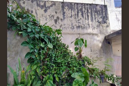 Casa à venda com 253m², 3 quartos e 2 vagas