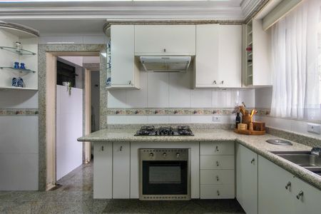 Apartamento para alugar com 380m², 4 quartos e 5 vagasCozinha 
