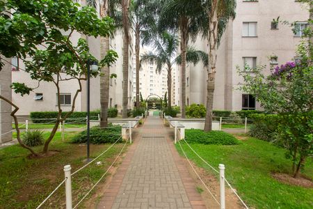 Apartamento para alugar com 49m², 2 quartos e 1 vaga Apartamento para alugar com 49m², 2 quartos e 1 vagaÁrea comum