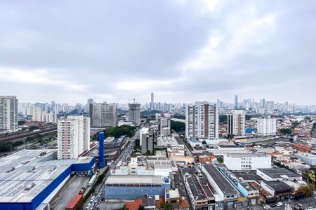 Apartamento para alugar com 51m², 2 quartos e sem vaga Apartamento para alugar com 51m², 2 quartos e sem vagaVista