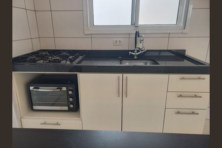 Apartamento para alugar com 50m², 2 quartos e sem vagaCozinha - Armários