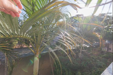 Vista do Quarto 1 de apartamento à venda com 2 quartos, 59m² em Dic V (conjunto Habitacional Chico Mendes), Campinas