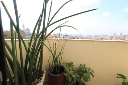 Apartamento à venda com 80m², 3 quartos e 2 vagasSacada
