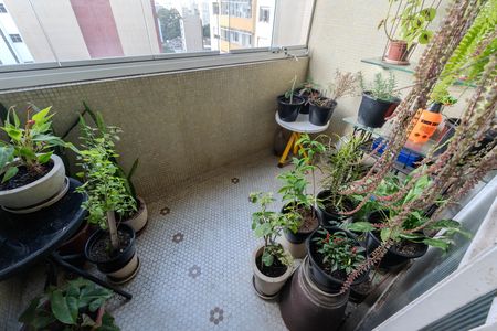 Apartamento à venda com 132m², 4 quartos e 1 vaga Apartamento à venda com 132m², 4 quartos e 1 vagaSacada