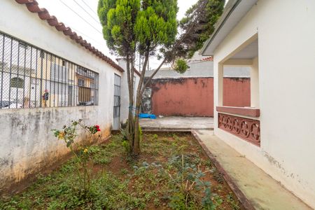 Casa para alugar com 249m², 4 quartos e 6 vagasQuintal