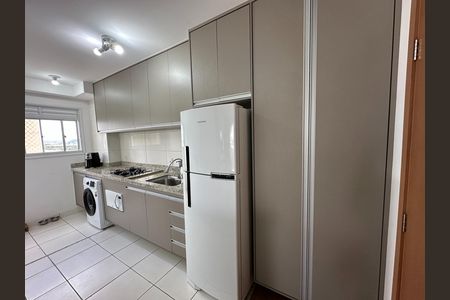 Apartamento para alugar com 46m², 2 quartos e 1 vaga Apartamento para alugar com 46m², 2 quartos e 1 vagaCozinha - Armários