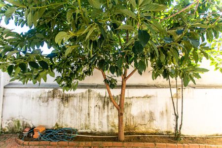 Casa de condomínio para alugar com 90m², 2 quartos e sem vaga Casa de condomínio para alugar com 90m², 2 quartos e sem vagaQuintal