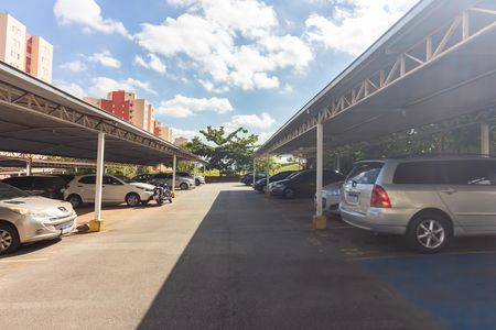Apartamento para alugar com 55m², 2 quartos e 1 vaga Apartamento para alugar com 55m², 2 quartos e 1 vagaÁrea Comum