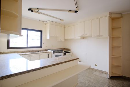 Casa para alugar com 500m², 5 quartos e 5 vagasCozinha